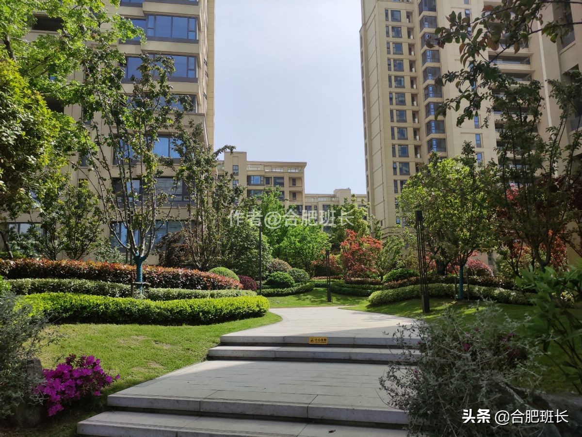 滨湖文一塘溪津门,文一塘溪津门pk绿城兰园