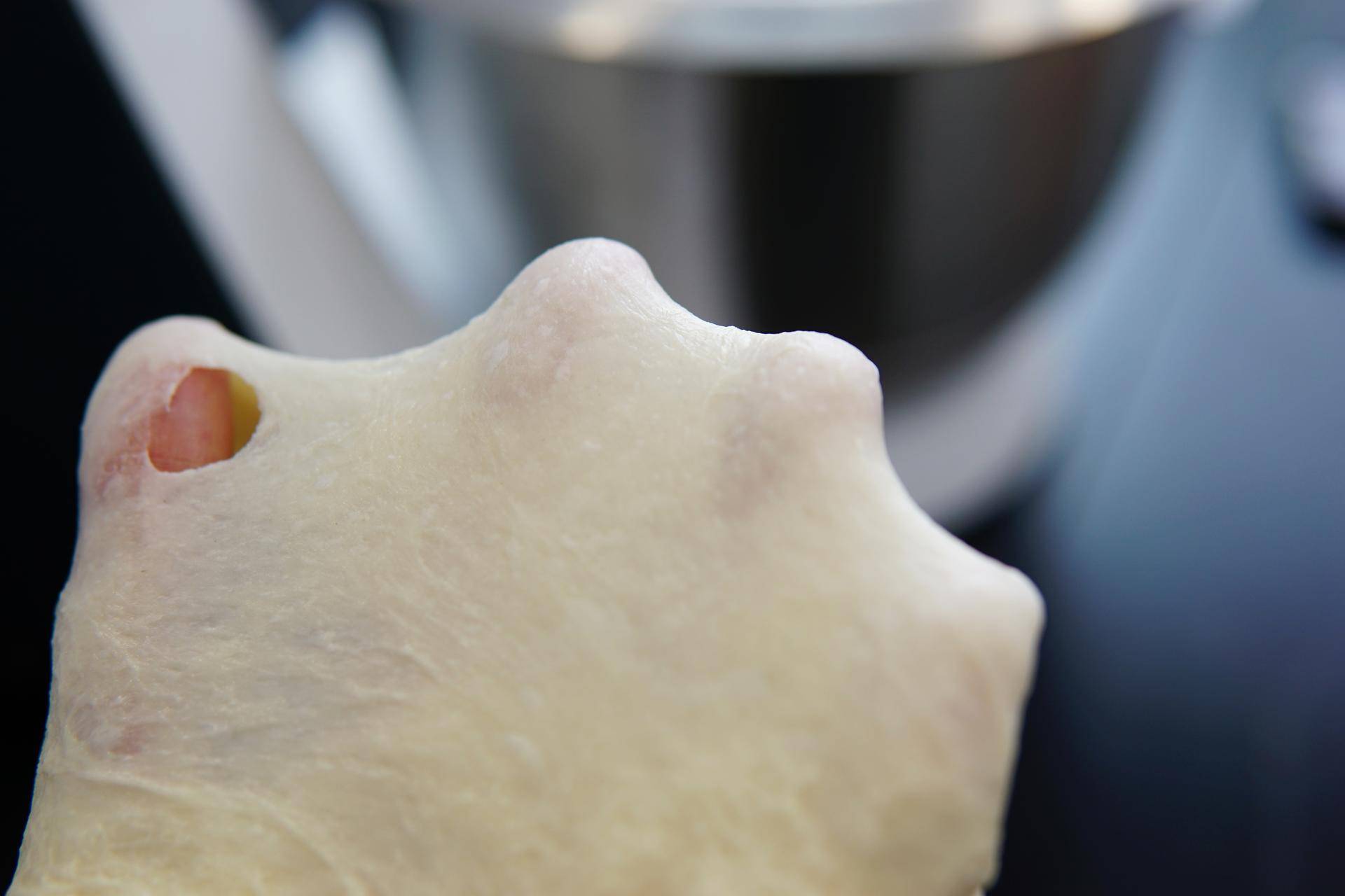 烘焙用的和面机建议买哪种,烘焙店用什么和面机