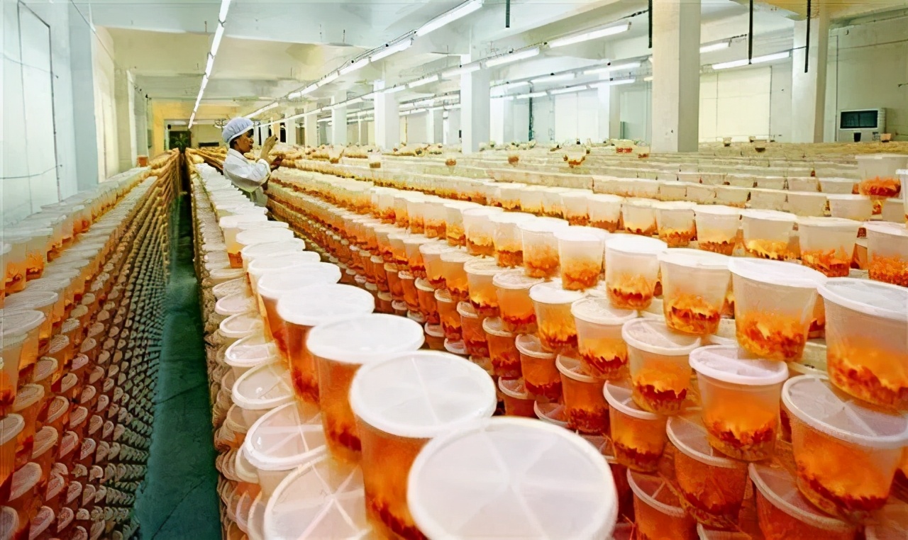 臻选虫草花蛹虫草,蛹虫草和虫草花是一样吗