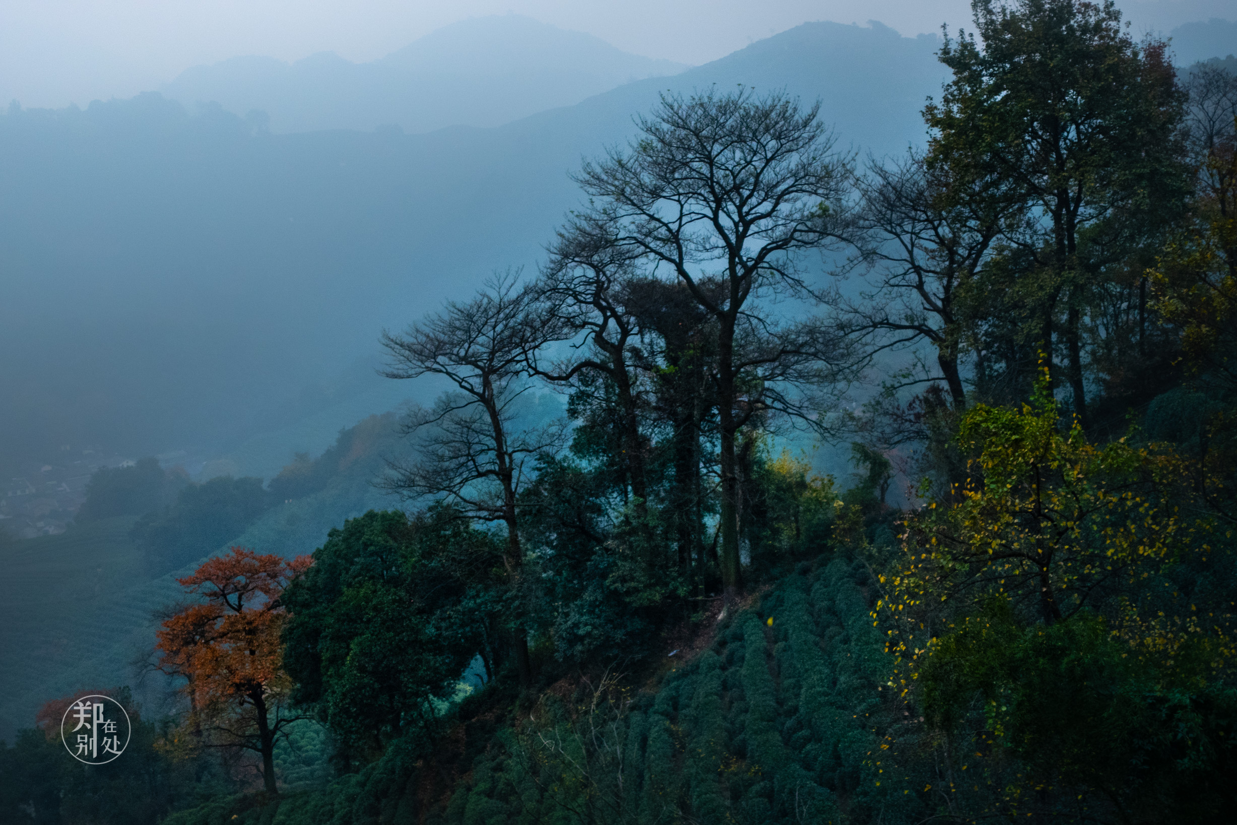 杭州登山徒步经典路线图最新,杭州登山路线