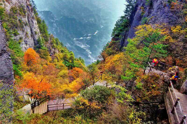 唐朝十大诗人名篇,唐代诗人的千古名句及赏析