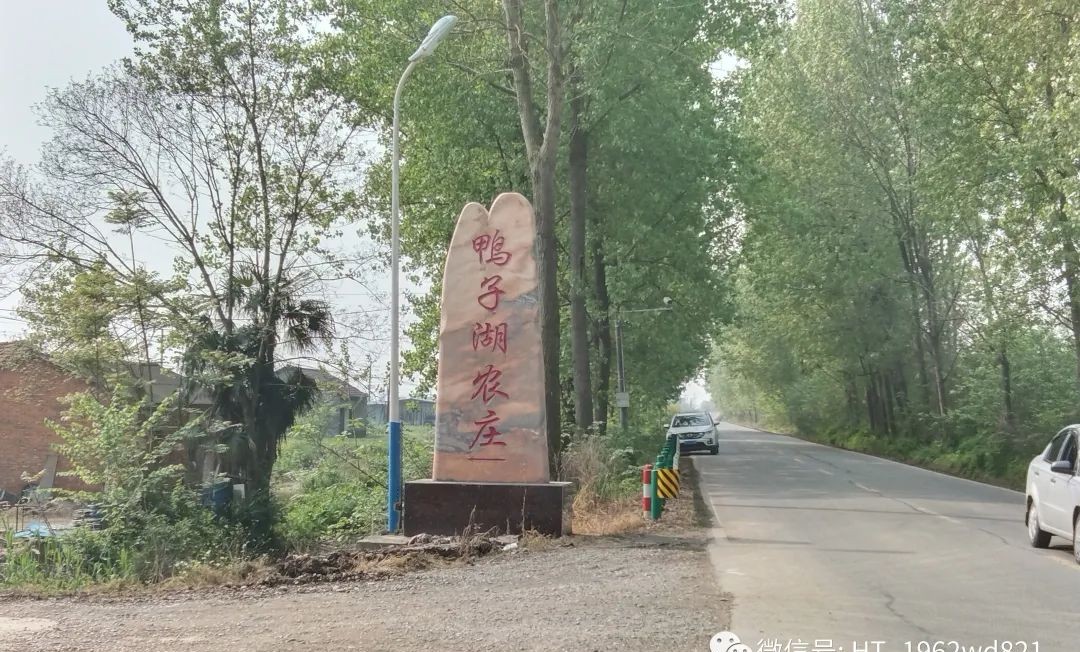 守望孤独的句子,守望大山里的老人