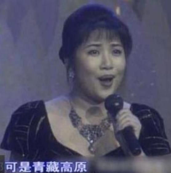 李娜经历了哪些事,李娜的整个人生过程