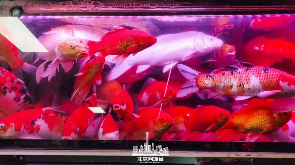 不去后悔去了更加后悔的景点,不去后悔去的景点