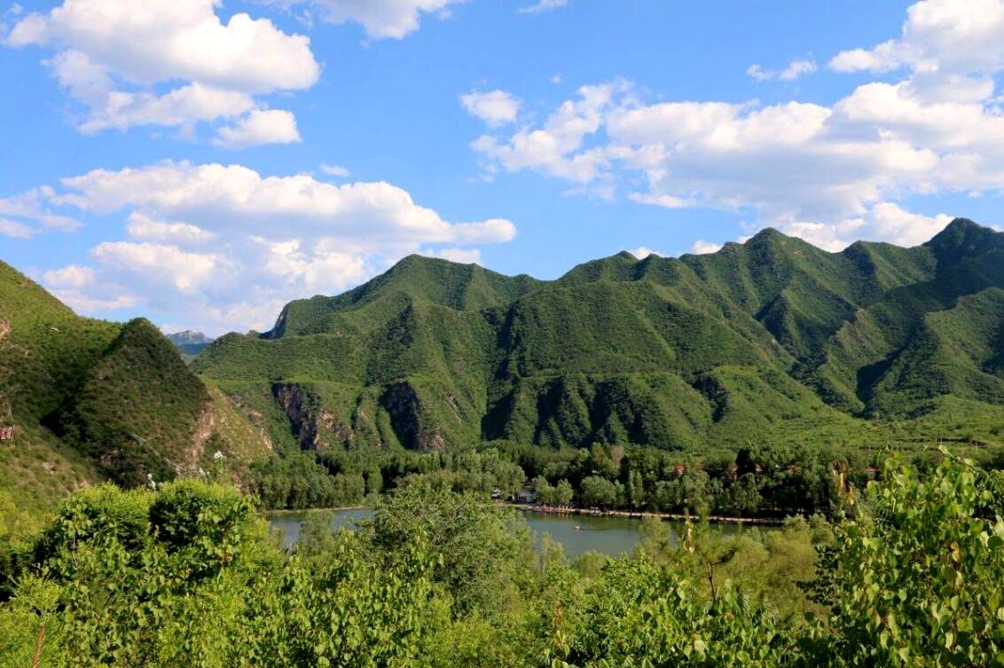 细节全面解析汽车,英菲尼迪qx50悦享版自驾