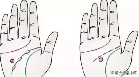 手诊图大全清晰图手背,全息手诊图