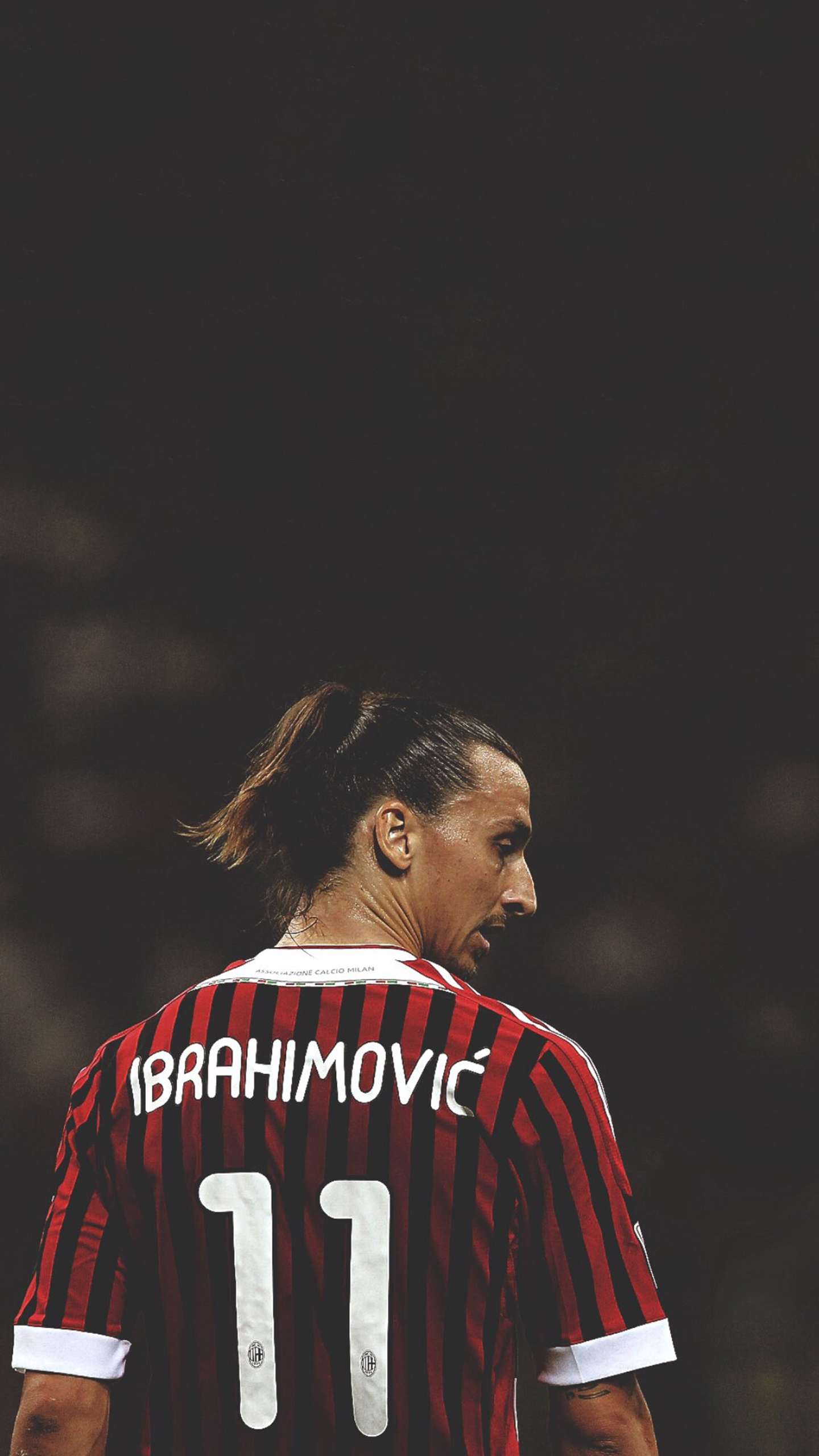 伊布进化型壁纸,伊布米兰霸气壁纸