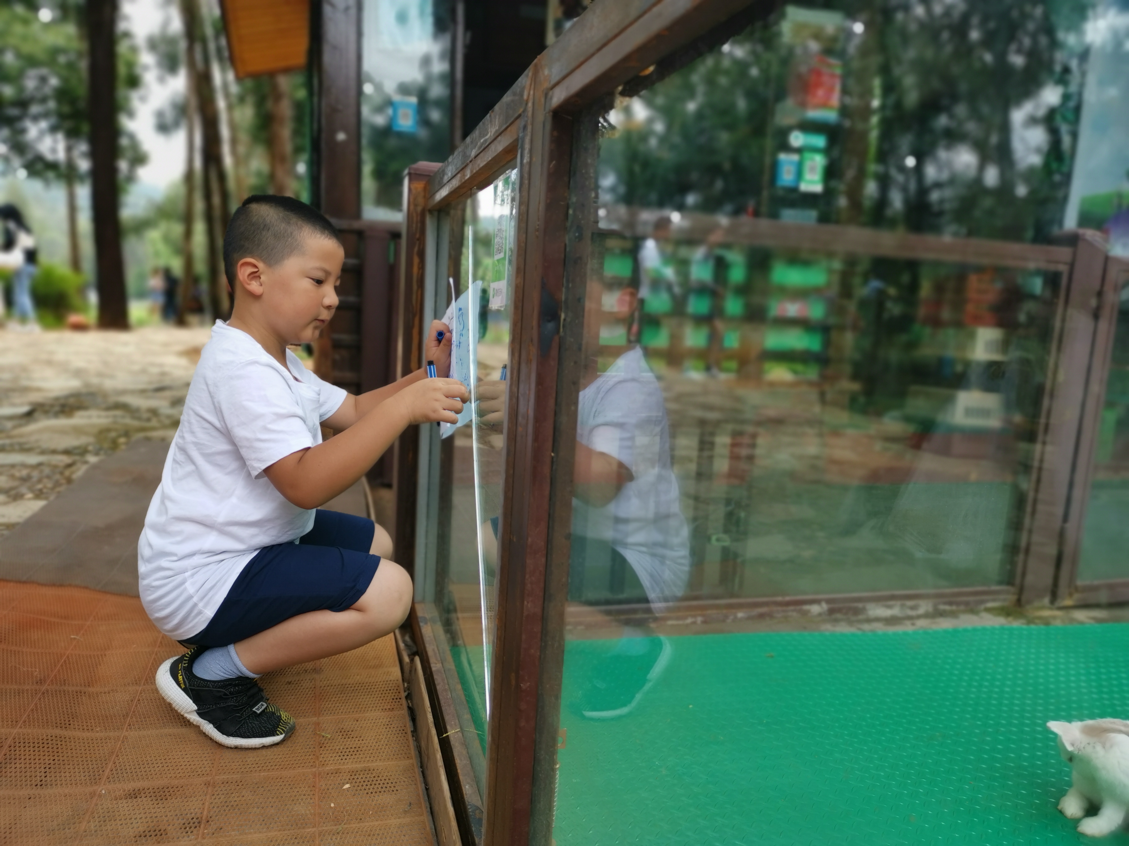 云南野生动物园免票吗,云南野生动物园有什么好玩的