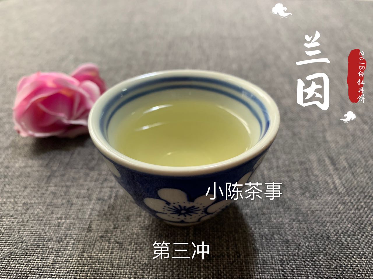 老白茶寿眉散茶好还是饼茶好喝,收藏白茶和收藏普洱的区别