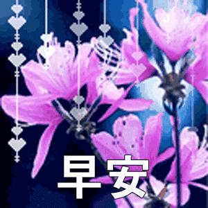 早安文案高级感幸福是自己争取的,励志语录人生这条路靠自己走