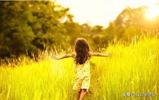 深圳夏令营：最好的教育，是看不到教育的发生