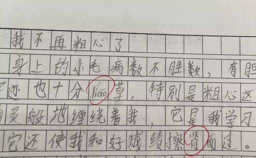 小学生零分试卷笑到手抖,小学生0分试卷走红视频