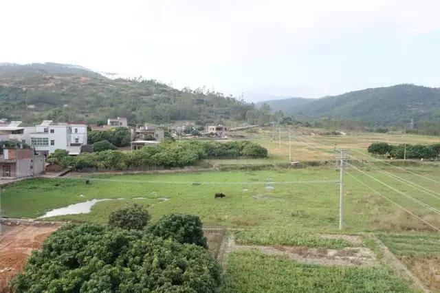 红色乡村简介,红色乡村文旅景区