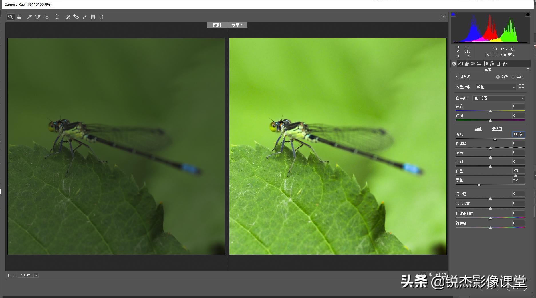 ps怎样调出高质量的黑白照片风景,ps如何给黑白照片上的人物上色