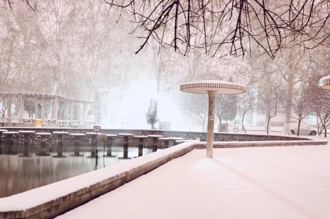 河南牧业经济学院有几个,河南牧业经济学院是正规大学吗