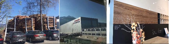 意风榴莲的优缺点,意风榴莲优缺点