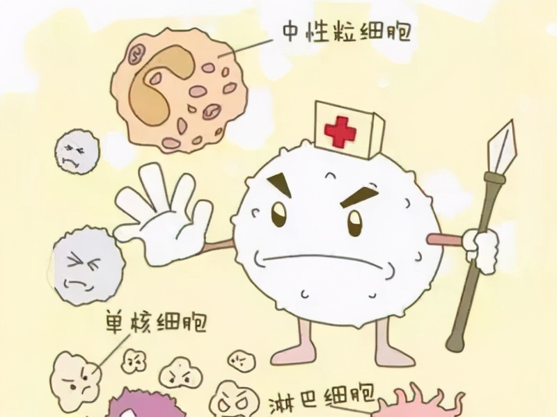 急性骨髓性白血病m2治愈率是多少,急性髓系m2白血病最快多久能治好