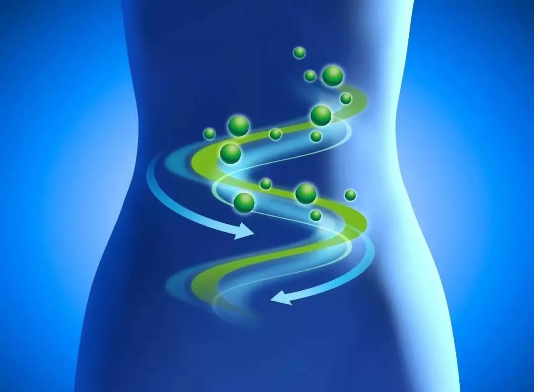 以菌治菌可以治愈哪些疾病,以菌治菌幽门螺旋杆菌