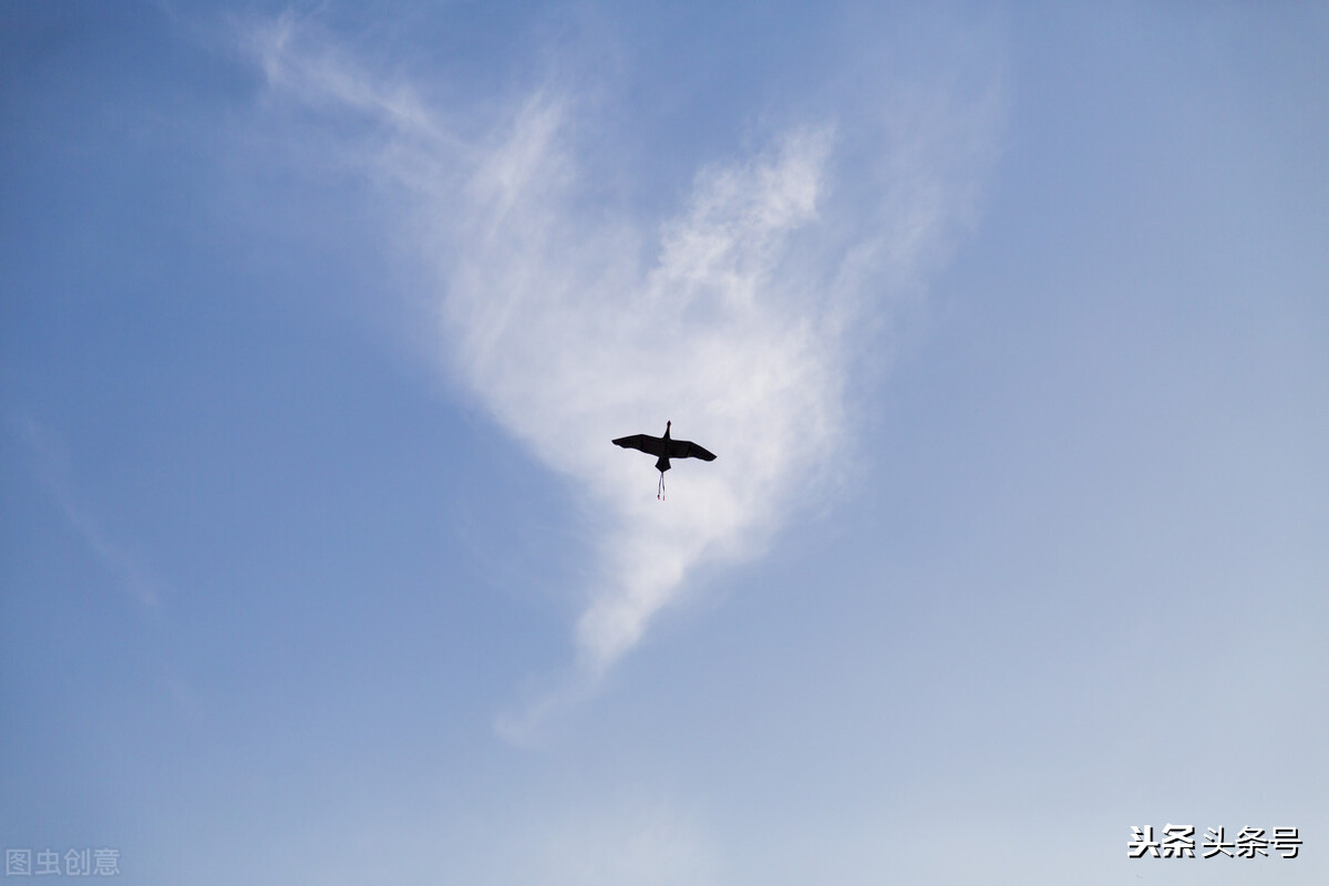 学历低想学个手艺不知道学什么,低学历学什么手艺最吃香