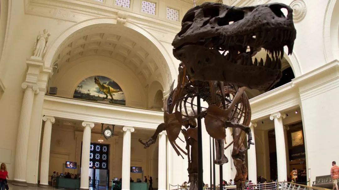 美国芝加哥有什么特色的东西,芝加哥giordano披萨