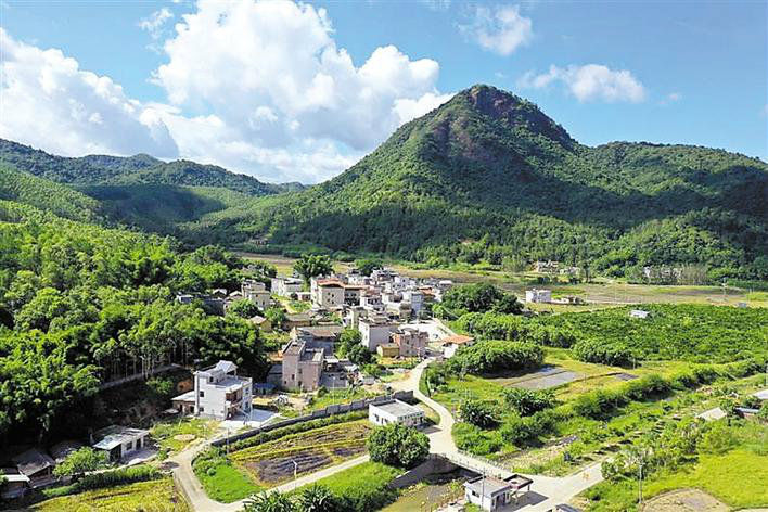 透视深圳观湖脱贫攻坚:“产业造血”激活内力,“雪中送炭”助迎蝶变