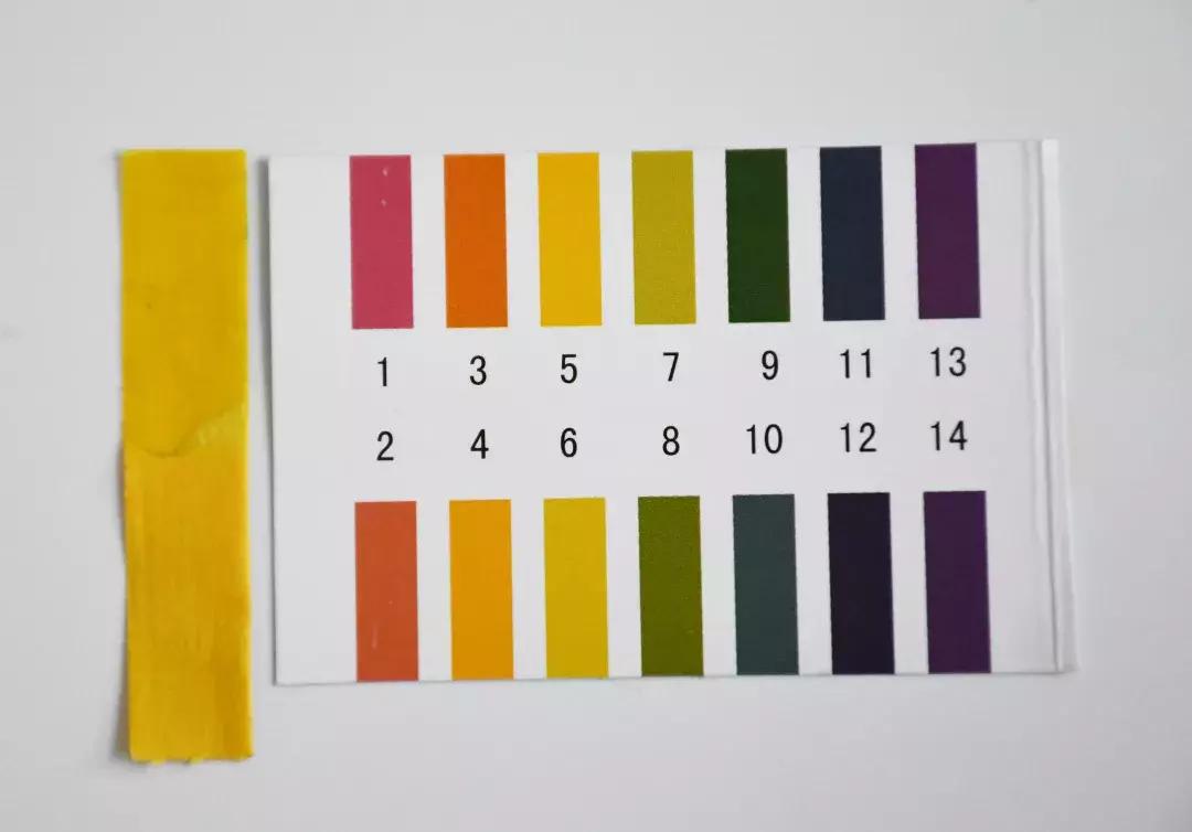 一年四季都要用好物推荐,春季好物推荐