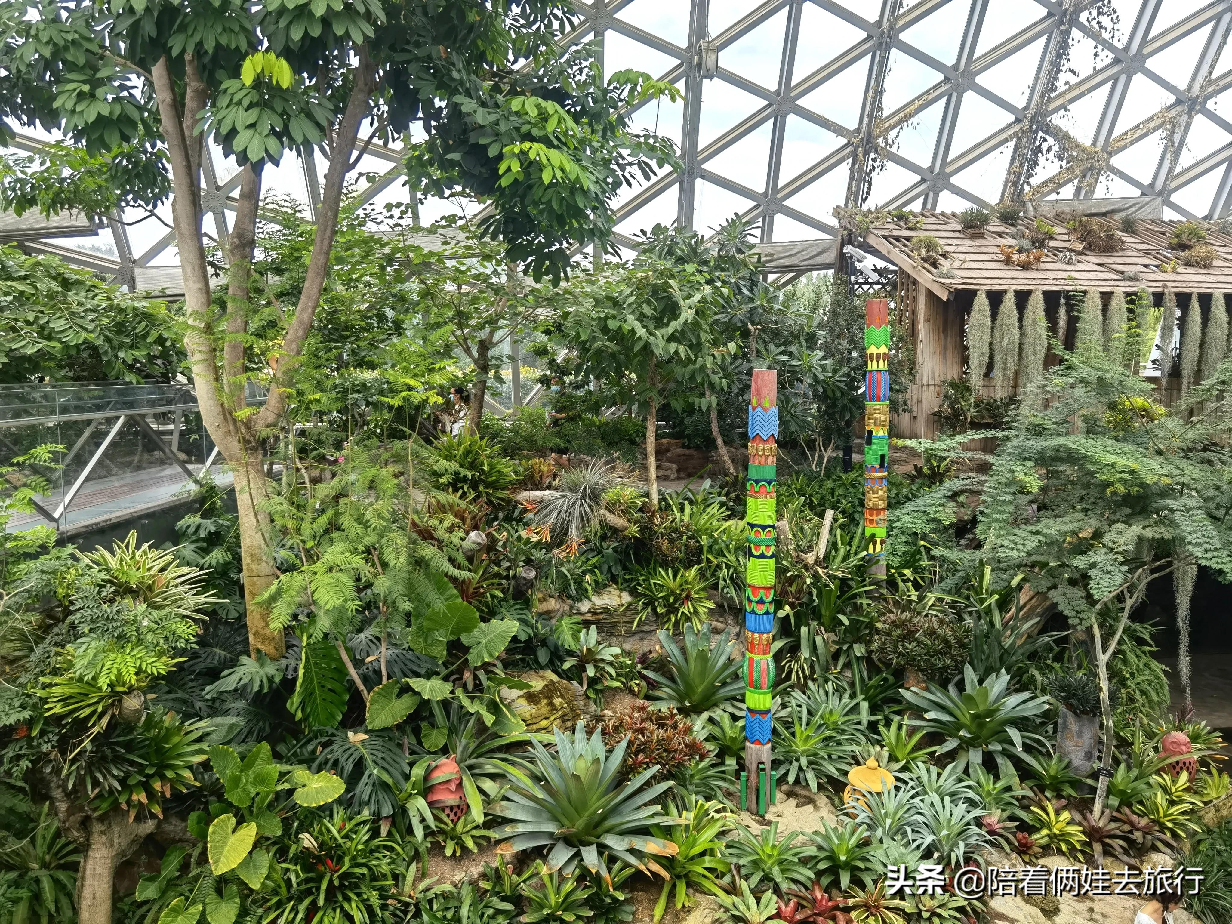 上海辰山植物园矿坑花园,辰山植物园矿坑花园修好了吗