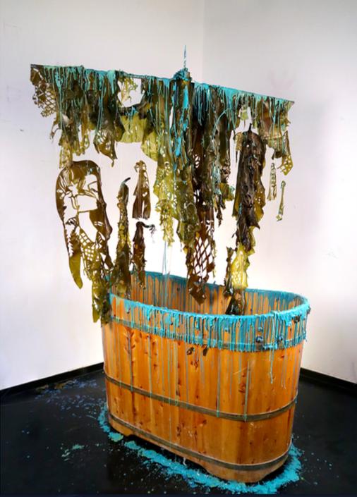 4位鼎石女生的科学梦