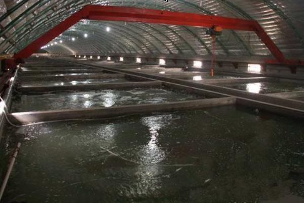 黄鳝养殖实用技术有哪些,黄鳝最新养殖技术与管理