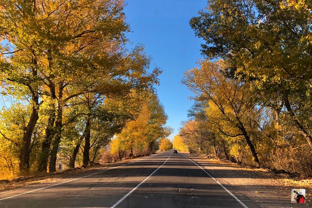金秋探秘格鲁吉亚和亚美尼亚，大量美图谨防中毒（干货篇）