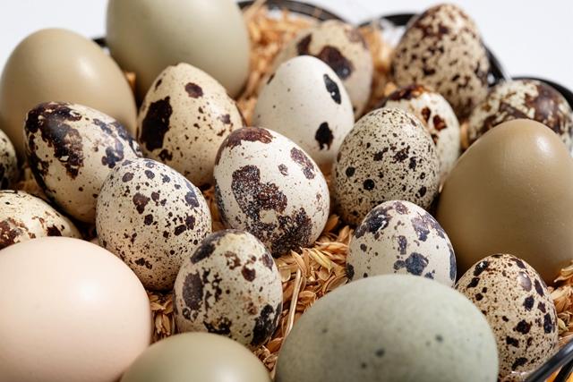 怀孕后要少吃黄豆芽吗,怀孕吃鸭蛋宝宝不得黄疸吗