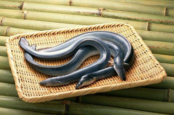 鳗鱼饭到底有多好吃,鳗鱼饭有多难吃