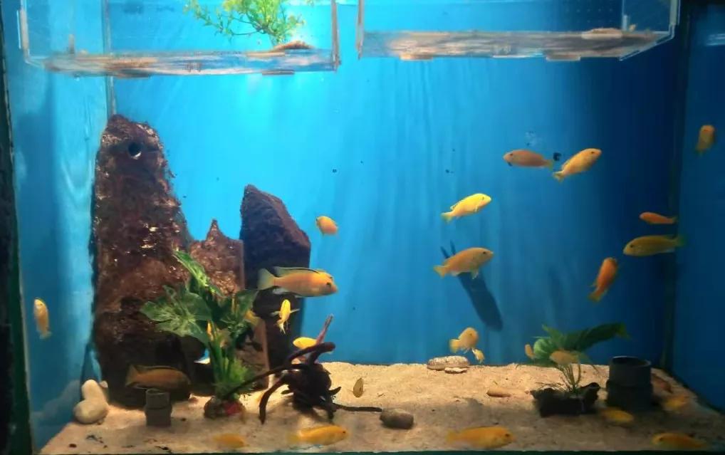 聊城海底世界两大一小套票,海底世界周末带小孩玩路线