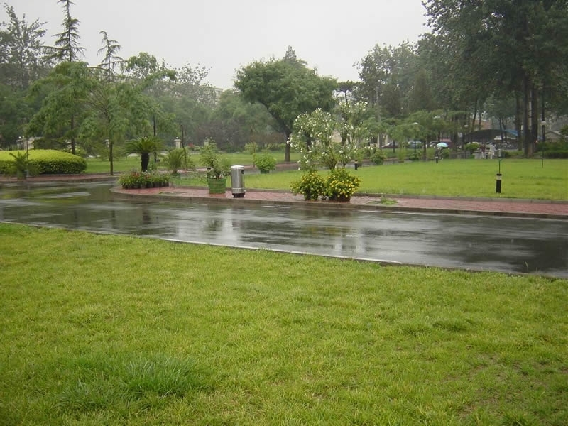 中央财经大学是985还是211,中央财经大学研究生