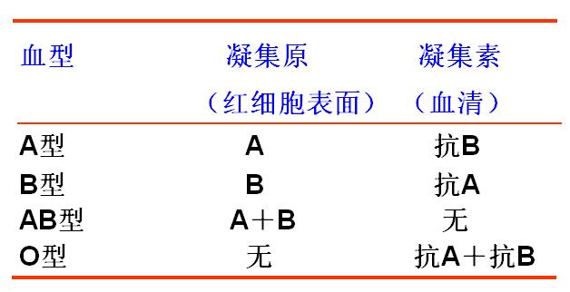 不同类型的血型会怎样,血型分析与血型特征