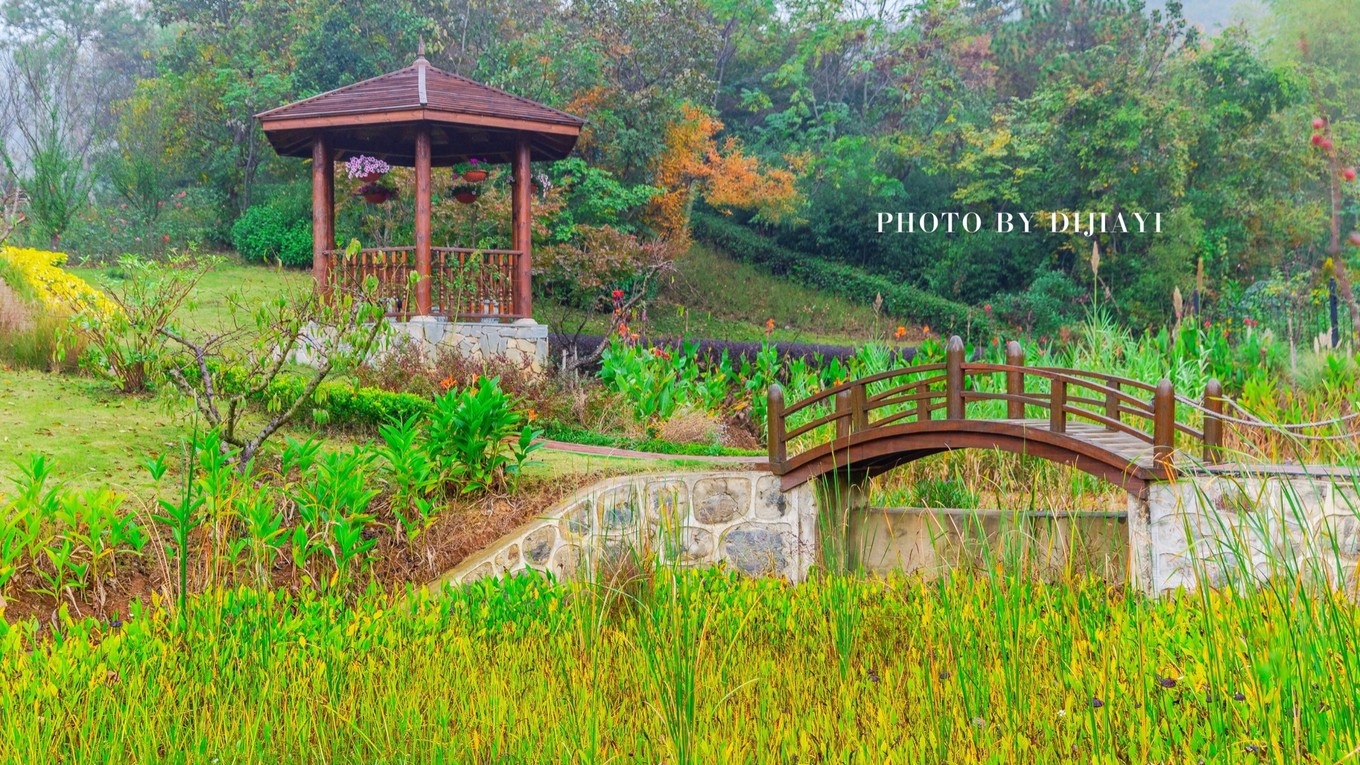 金坛花谷奇缘有什么地方值得打卡,金坛花谷奇缘赏花攻略