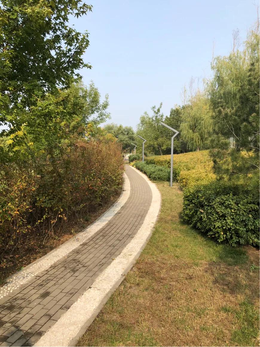 郑州市莲花公园,郑州池南路莲花公园