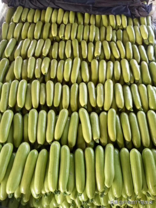 安徽合肥周谷堆农产品批发市场,合肥市周谷堆水果批发散装