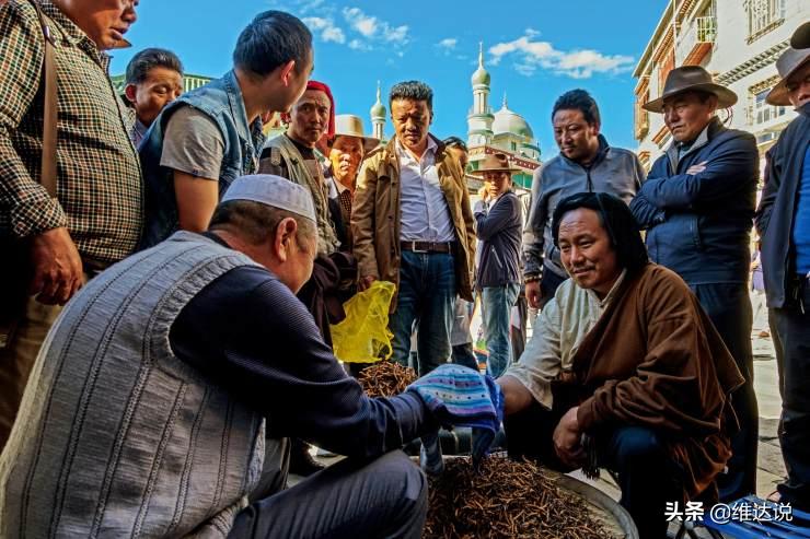 冬虫夏草是不是中医瑰宝,冬虫夏草的中医记载