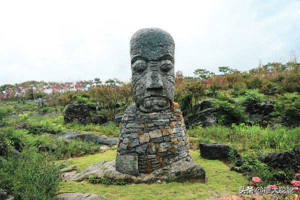 重庆这片花海你还没有来打开，那你就输了