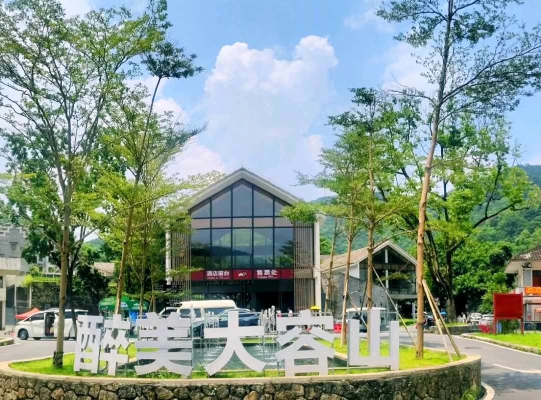 大容山国家森林公园游玩攻略露营,广西高峰森林公园星空露营