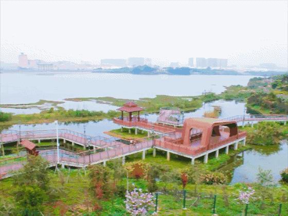 深圳免费公园哪里最好啊,深圳十大免费公园景点大全