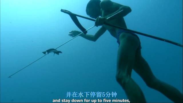 BBC最棒8部纪录片，强烈推荐孩子暑假看