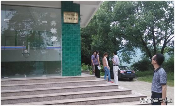 农村山林证遗失能补办吗,农村山林土地证遗失怎么办