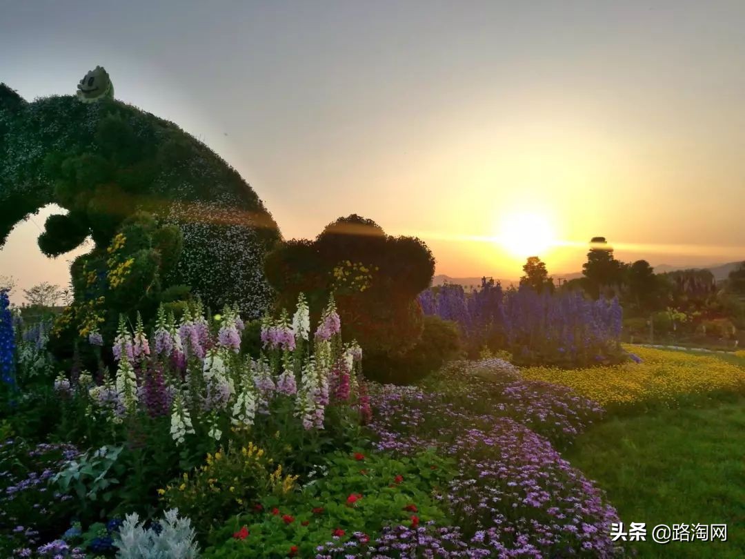 五一小长假结束再看一波各地美景,五一小长假去哪登山踏青看花好
