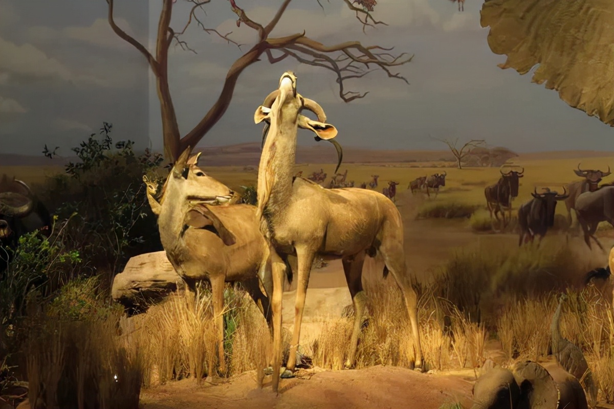 济南适合带娃去的公园,济南适合遛娃的景区