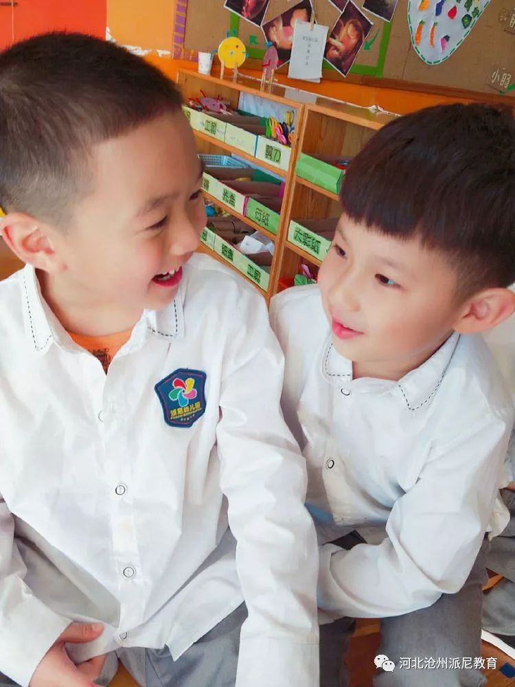 身体大揭秘动画,身体大揭秘