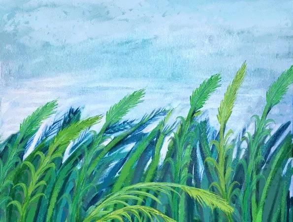 柬埔寨什么行业值得投资,柬埔寨十大金矿