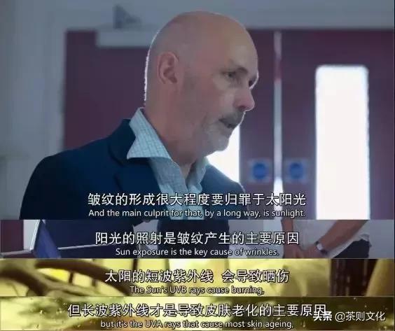 葡萄籽真的对人体有好处和坏处吗,葡萄籽真的对人体有好处吗