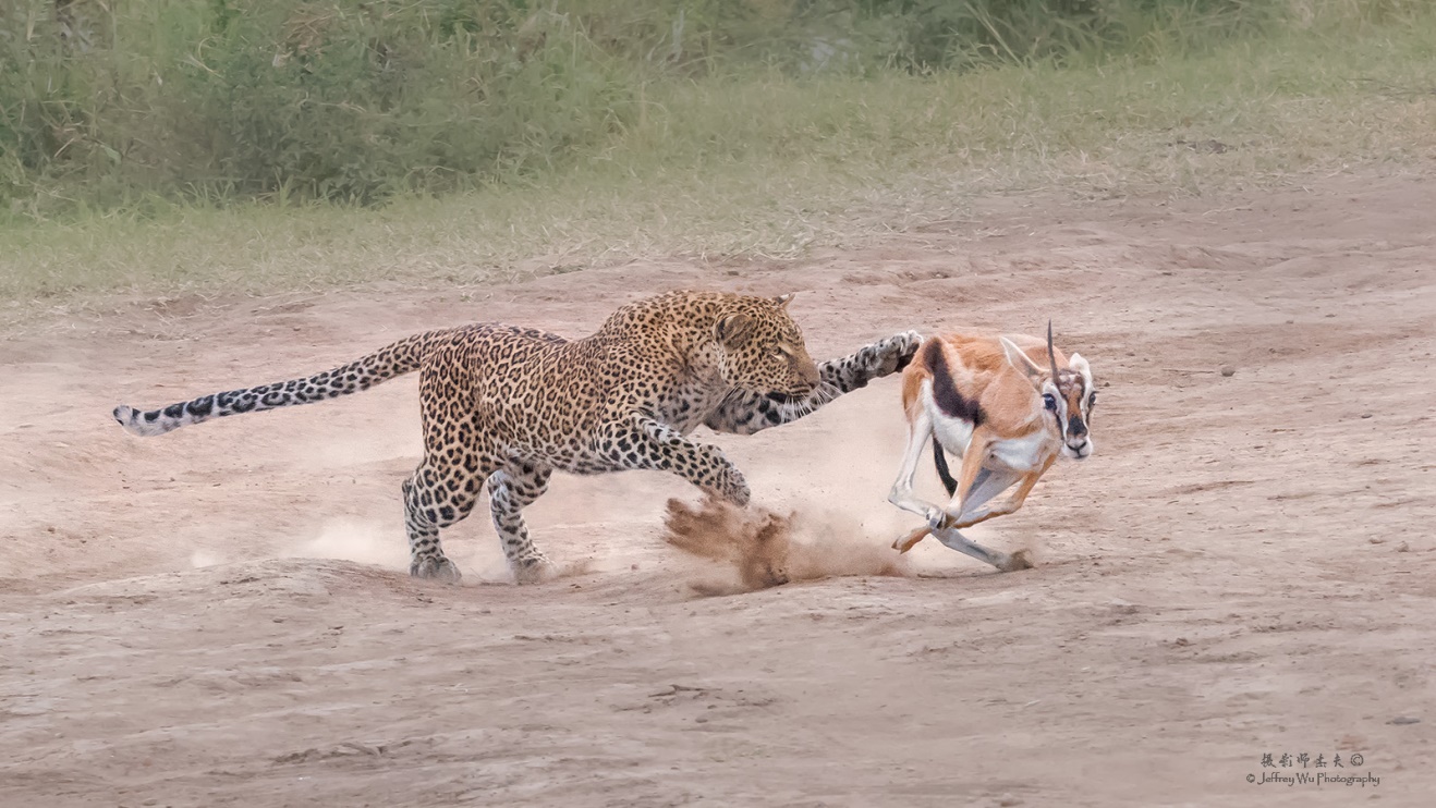 尼康nikond850拍摄视频,摄影器材篇尼康d850